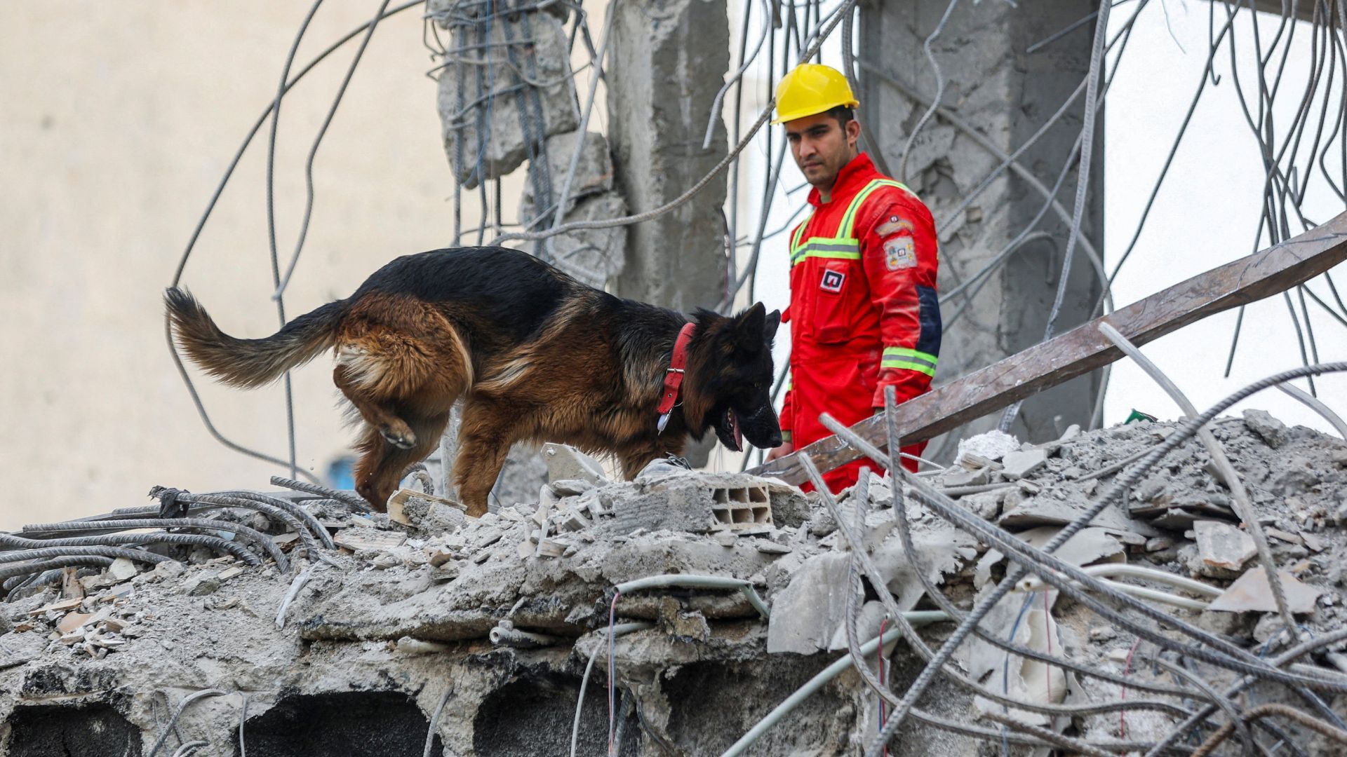 Video thumbnail for Iran’s brave rescue dogs hailed as heroes amid US–Israeli strikes