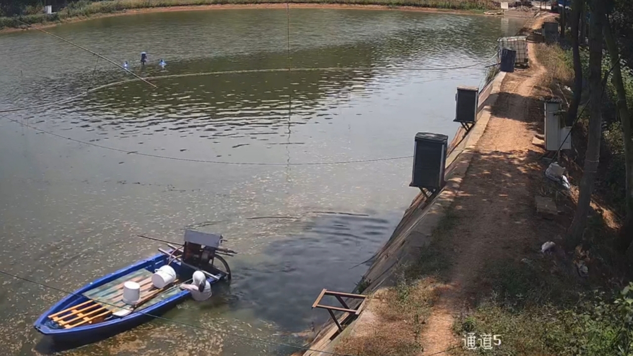 Video thumbnail for Woman Falls Into River After Boat Drifts Away