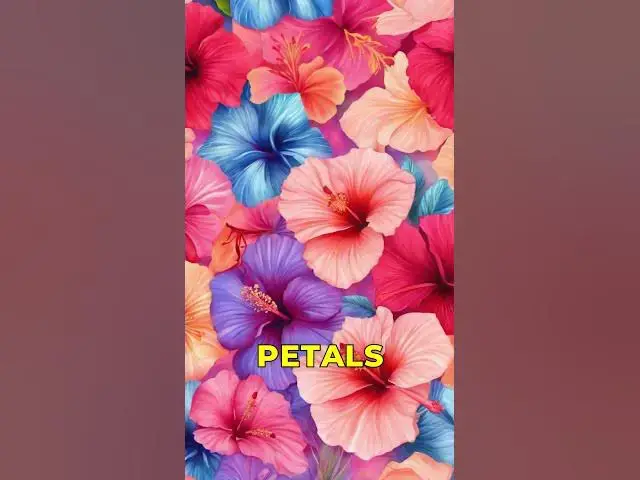Video thumbnail for Crafting Magical Herbal Tea Blends