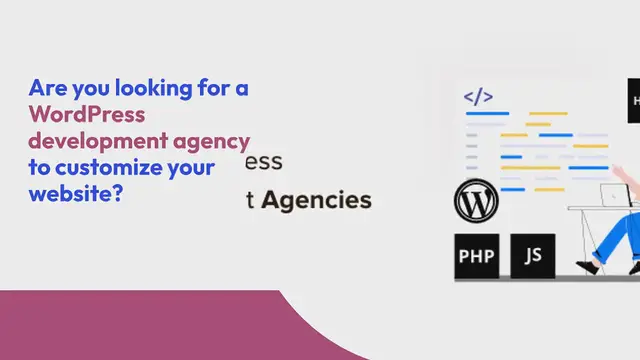 Video thumbnail for 14 Best WordPress Development Agencies (2024)