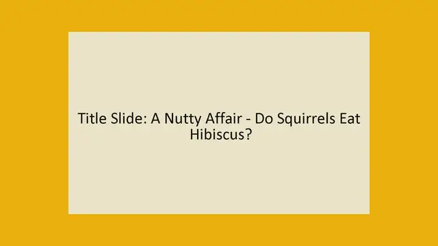 Video thumbnail for Do Squirrels Eat Hibiscus?