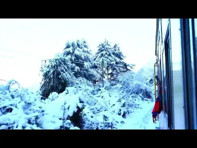 Video thumbnail for NATURE IN TRAIN