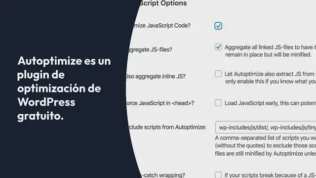 Video thumbnail for ¿Cómo configurar Autoptimize para tu sitio de WordPress?