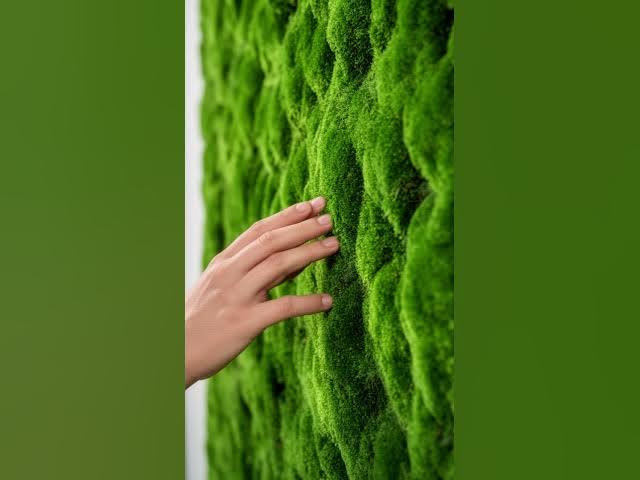 Video thumbnail for 15 Stunning Moss Interior Tiny Homes 🌿✨ #TinyHome #BiophilicDesign #Shorts
