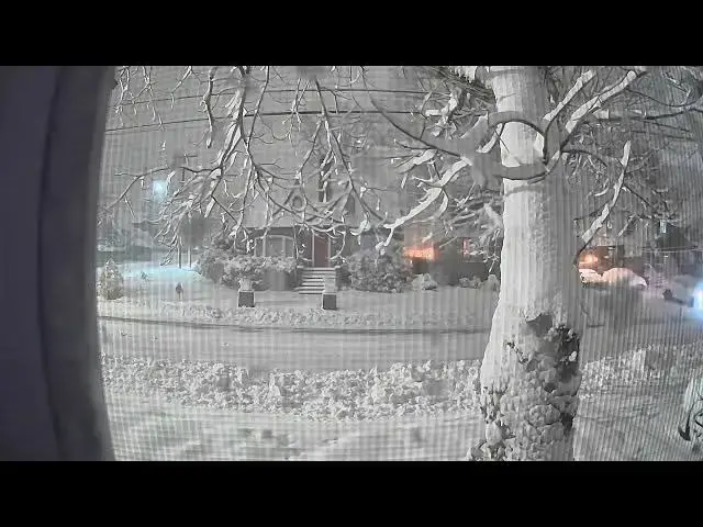 Video thumbnail for 2026 blizzard: time lapse snowfall (part 1)