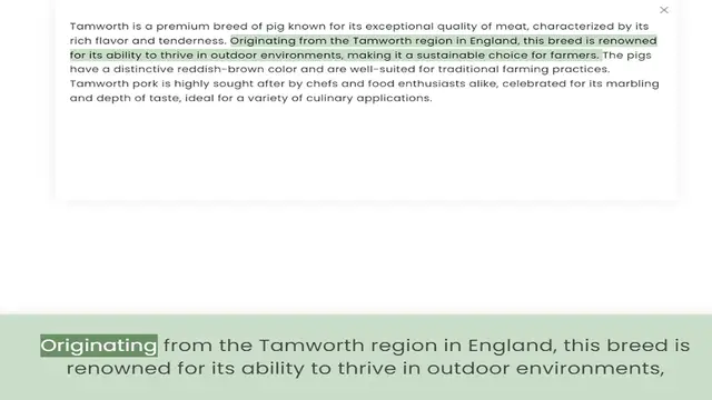 Video thumbnail for rich flavor and tenderness. Originating from the Tamworth region in England, this breed is renowned for its ability to thrive in outdoor environments, making it a sustainable choice for farmers. The pigs have a distinctive reddish-brown c