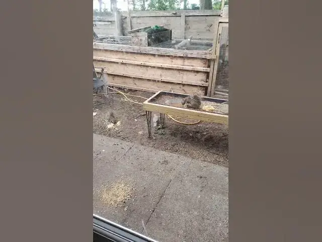 Video thumbnail for 4 June 2025