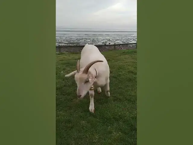 Video thumbnail for 11 May 2025