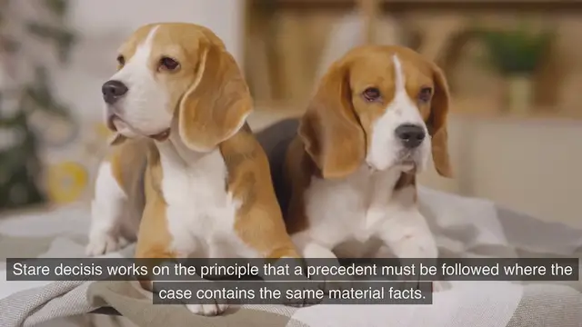 Video thumbnail for Distinguishing