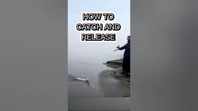 Video thumbnail for Catch of the Day: Fishing Memes #shorts
