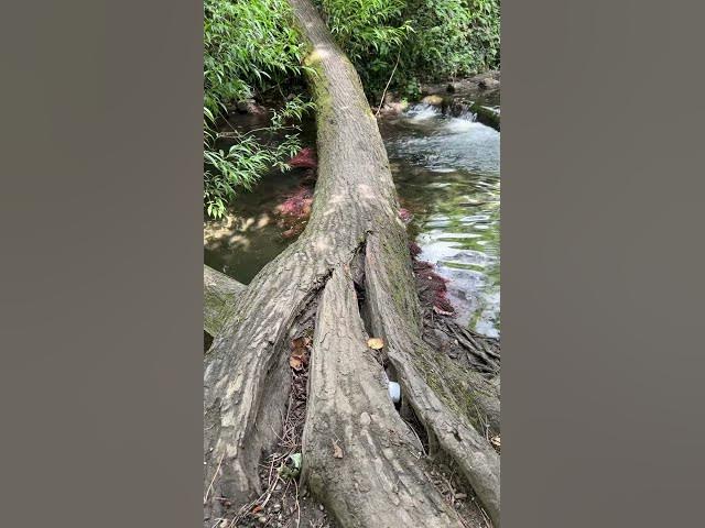 Video thumbnail for You want to be here