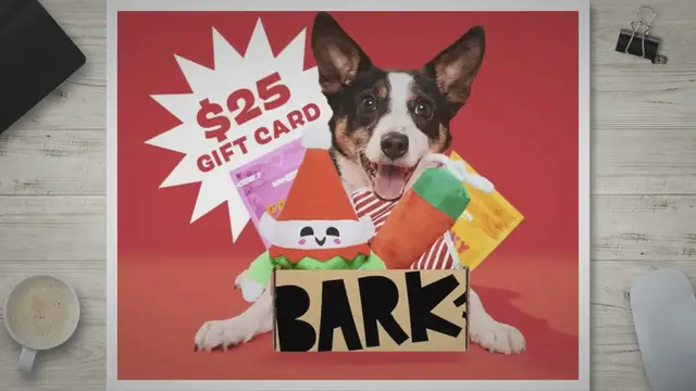 'Video thumbnail for Spoil Your Dog and Yourself with a Super Chewer Box: Get a FREE $25 Target Gift Card!'