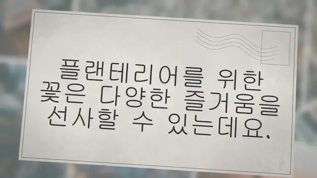 'Video thumbnail for 21가지 화초종류 이름 사진 특징 성장기온'