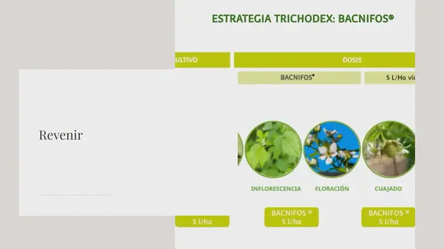 Video thumbnail for Préparez votre prochaine campagne de fruits rouges: salinité