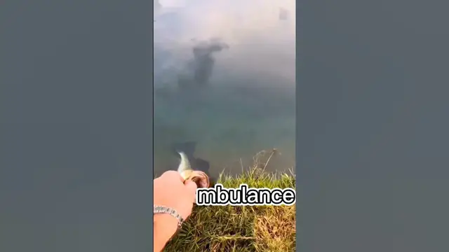 Video thumbnail for Call an BASSbulance #funny #bassfishing #fishingfails