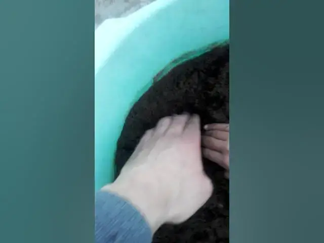 زراعه وتجهيز التربه للشتلات الجديده - فلفل و... | Open Video