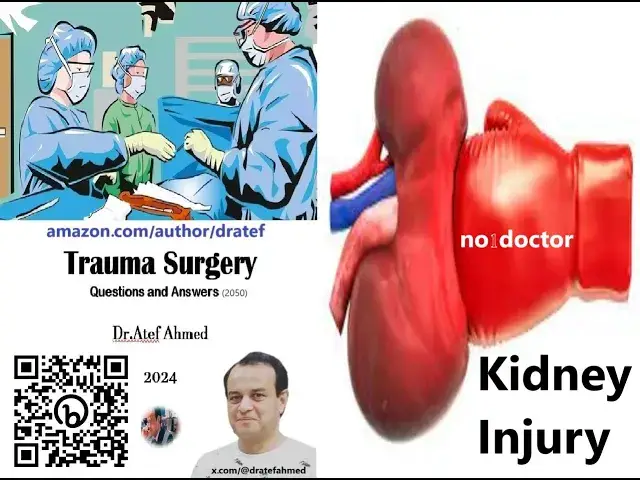 Video thumbnail for Kidney Injury A Quick Guide for Medical Professionals #kidneyinjury #medicine #medicaleducation #sur
