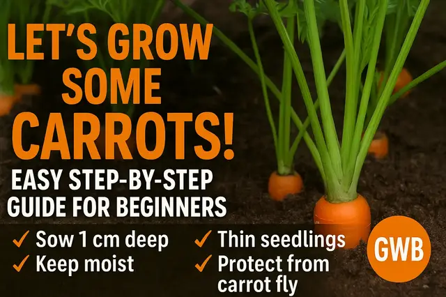 'Video thumbnail for 🥕 Let’s Grow Some Carrots! Easy Step-by-Step Guide for Beginners 🌱'