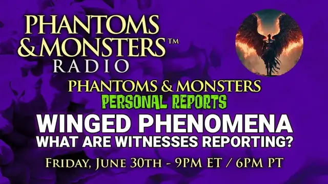 Video thumbnail for WINGED PHENOMENA - WHAT ARE WITNESSES REPORTING? LIVE CHAT Q & A - JOIN US - Lon Strickler (Host)