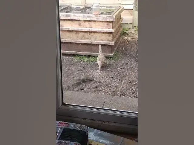 Video thumbnail for 25 May 2024