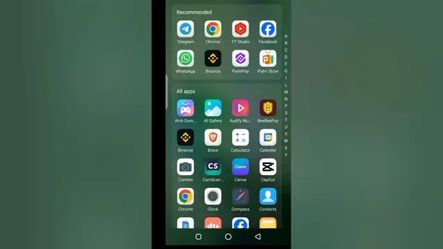 Video thumbnail for Piggylmall Investment Withdrawal Proof #piggylmall #piggyl #shorts #viral