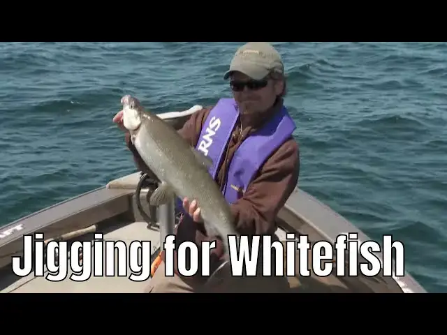 'Video thumbnail for Vertical Jigging for Huge Whitefish | Fish'n Canada'