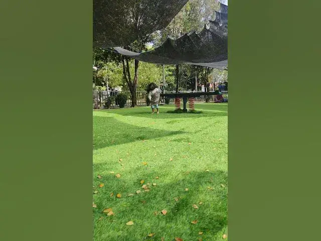 Video thumbnail for Holiday #toodleractivity #toodlers #fyp