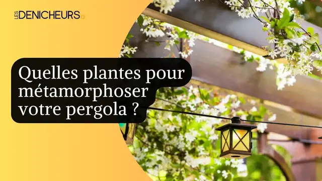 Video thumbnail for ☘️​ Quelle plantes pour métamorphoser votre pergola ? 🌿​