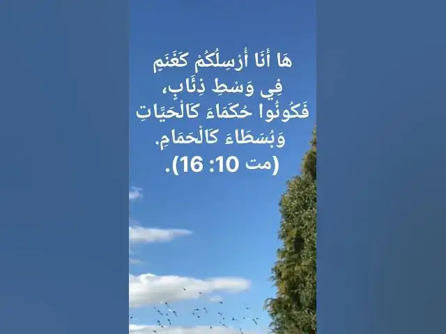 'Video thumbnail for هَا أَنَا أُرْسِلُكُمْ كَغَنَمٍ فِي وَسْطِ ذِئَابٍ، فَكُونُوا حُكَمَاءَ كَالْحَيَّاتِ  #shorts'