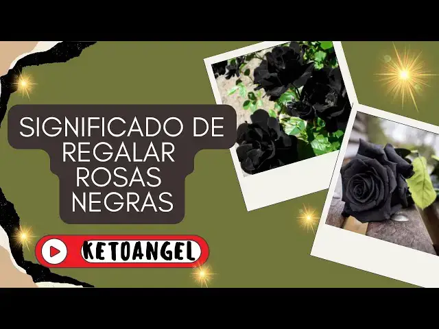 Video thumbnail for El Significado de Regalar Rosas Negras y Cuándo Hacerlo