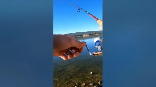 Video thumbnail for Wait & Bait Rod gets HIT!