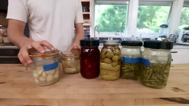 'Video thumbnail for The Most Helpful Fermentation Guide on the Internet (720p 24fps)'