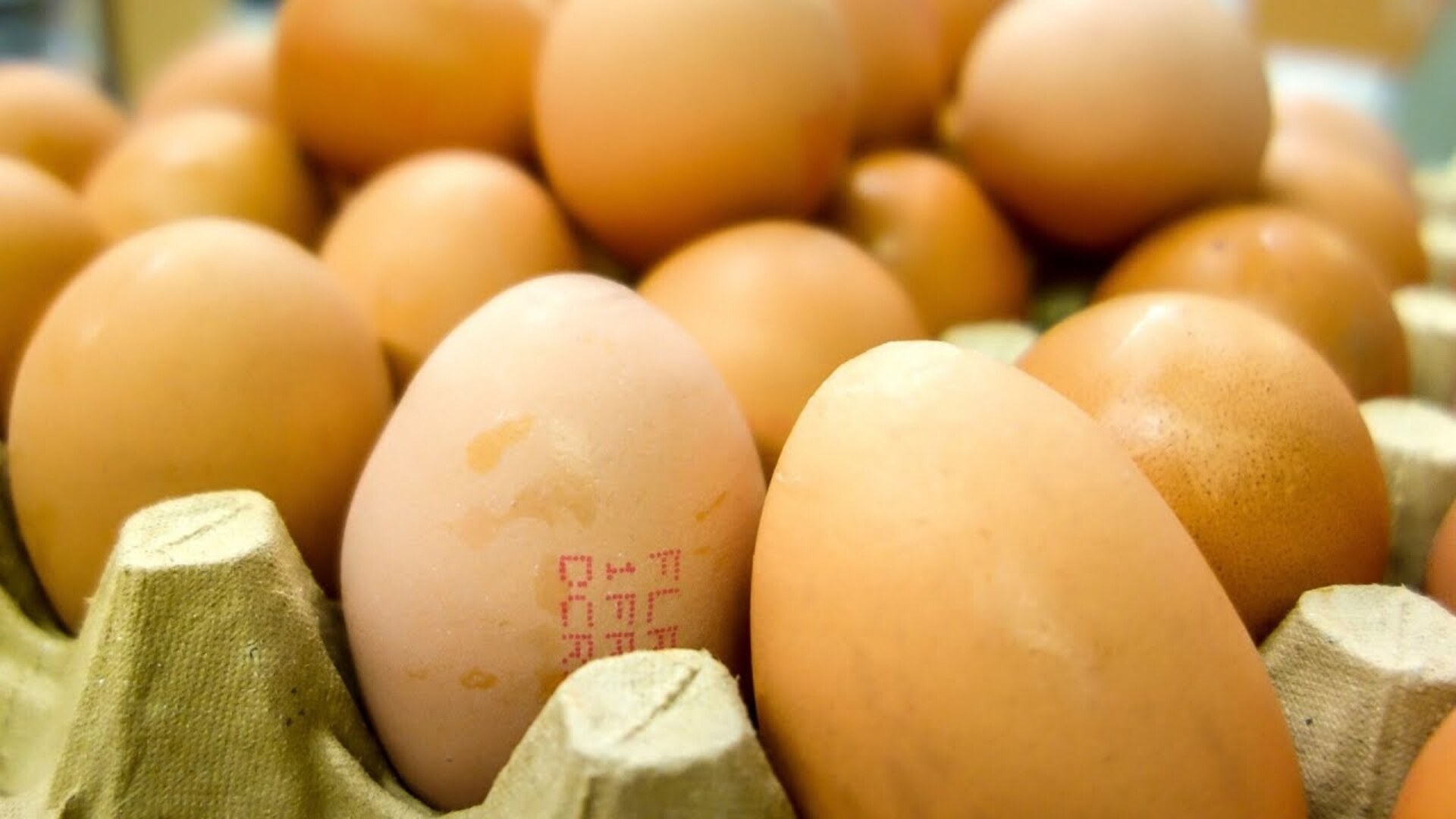 Video thumbnail for Watch This Before You Ever Buy Eggs Again