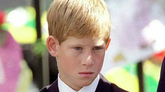 'Video thumbnail for Details Revealed About Prince William & Prince Harry's Childhood'