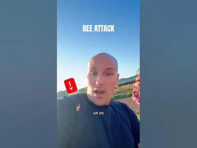 Video thumbnail for Bee attack during the gluten free ice cream taco food review at Cook Farm! #food