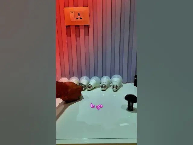 'Video thumbnail for بخطوتين هاكتشف لمبه مغشوشه'