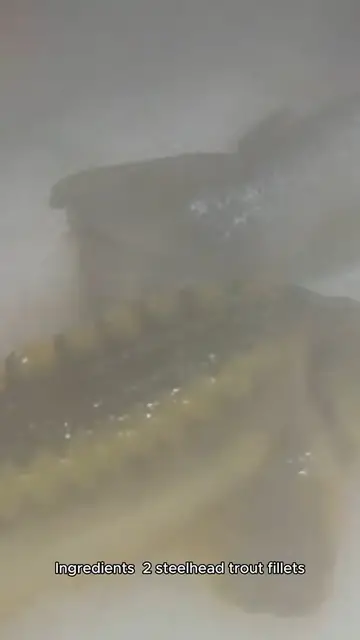 Video thumbnail for steelhead trout recipe