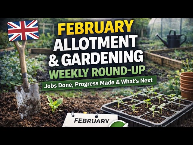 Video thumbnail for February Allotment Jobs & Garden Tasks