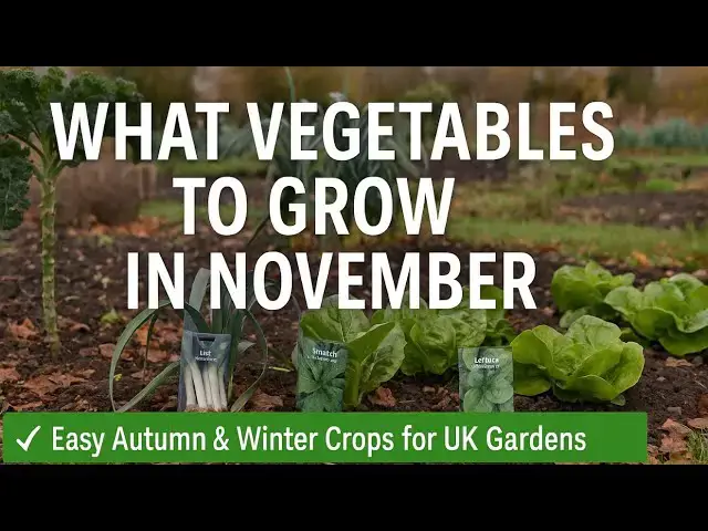 'Video thumbnail for 🎥 ✅ 🥬 What Vegetables to Grow in November 🌿 | Easy Autumn & Winter Crops for UK Gardens 🎧'