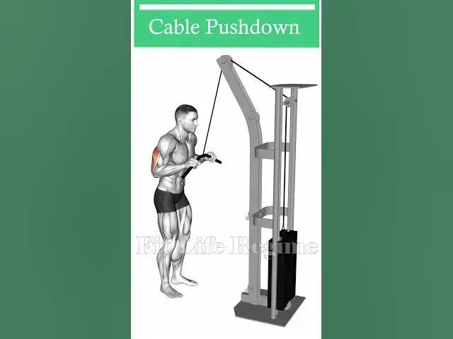 Video thumbnail for Maximize Your Tricep Workout with these Cable Exercises