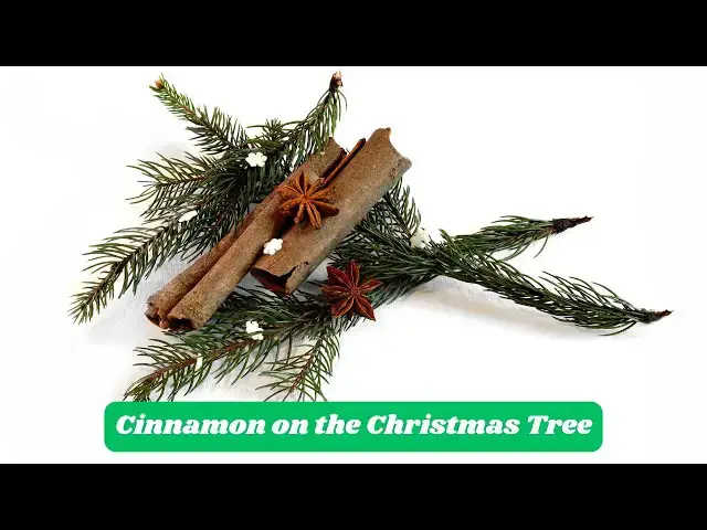 Video thumbnail for The Symbolic and Spiritual Significance of Putting Cinnamon on the Christmas Tree