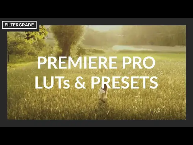 'Video thumbnail for 8 Best Premiere Pro LUTs and Preset Packs'