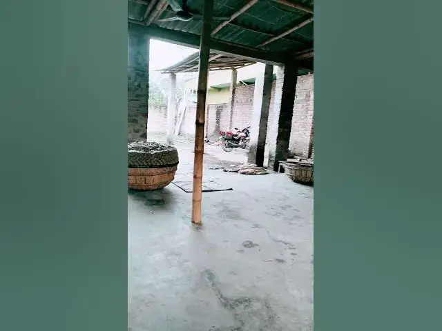 Video thumbnail for 🌅ভাবিনি ছেড়ে যাবা🌄 #bollywood কেমন হয়েছে #funny #মর্নিং2pmরেজাল্ট