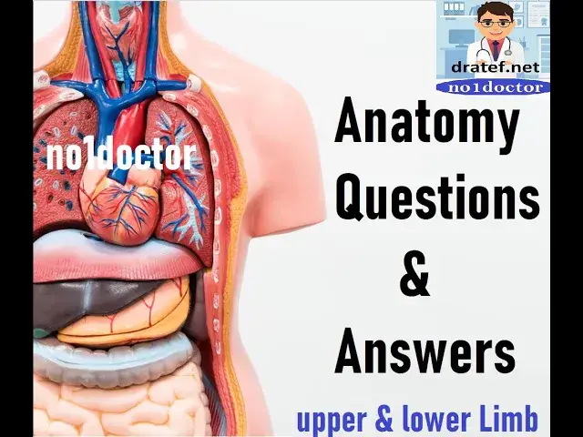 Video thumbnail for Anatomy MCQs / Upper and Lower limb / Surgical Anatomy /Anatomy Lecture /no1doctor/Mrcs/Usmle/Frcs