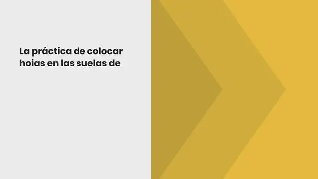 Video thumbnail for Pon 1 hoja de laurel en tus zapatos, resultados garantizados si lo haces la noche anterior