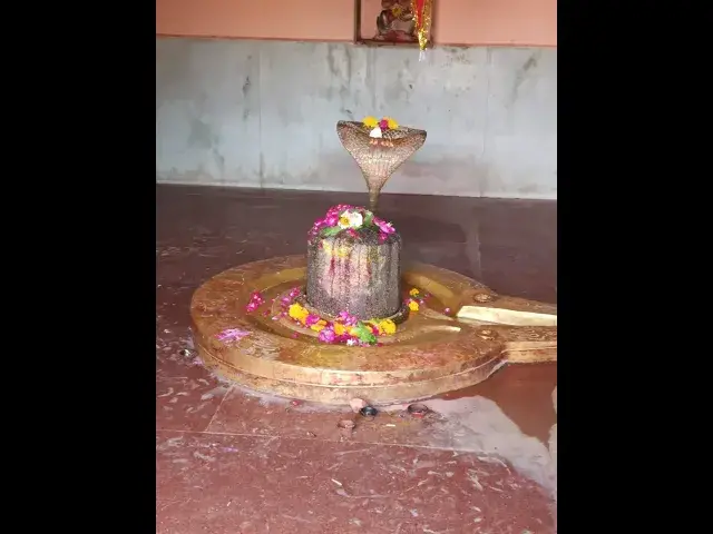 Video thumbnail for शिवलिंग पर इन चीजों को चढ़ाने से मिलते है ये फल | Shivratri Special #bholenath #mahadevstatus