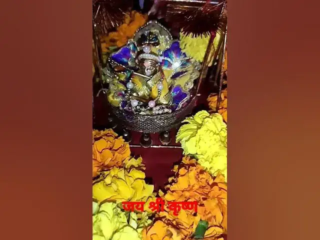 Video thumbnail for जय जय श्रीकृष्ण || #jaishreekrishna #krishna #krishnabhajan #krishnastatus #krishnaquotes