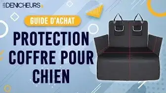 Video thumbnail for 👓 MEILLEURE PROTECTION COFFRE POUR CHIEN - Comparatif & Guide d'achat