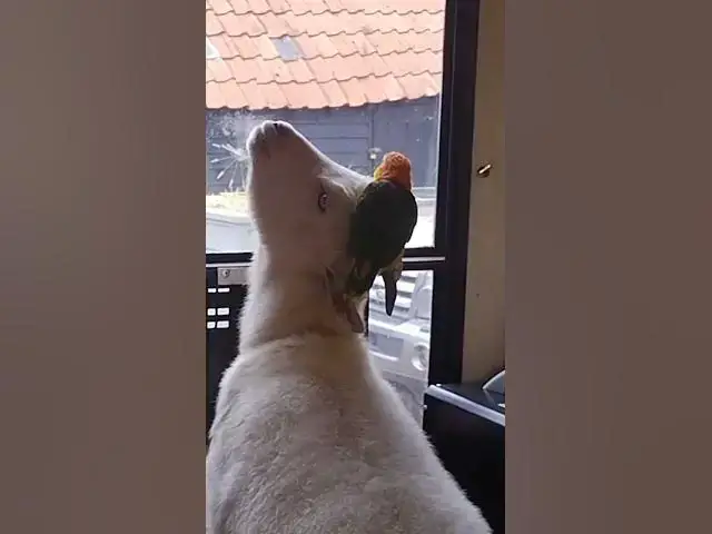 Video thumbnail for 14 July 2024