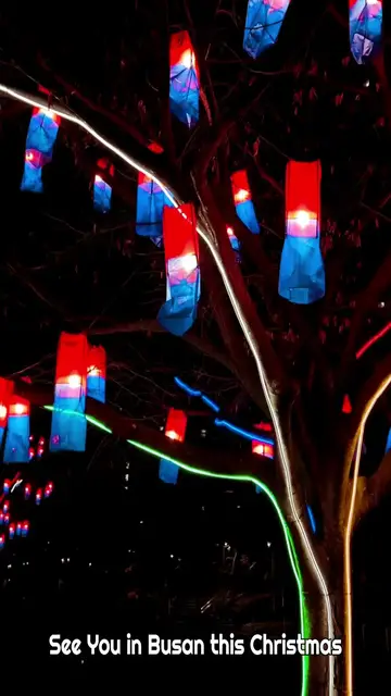 Video thumbnail for ✨ Busan Oncheon Stream Light Festival is Right Now ✨